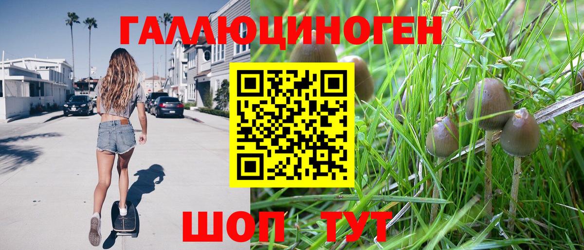 Новороссийск  Псилоцибиновые грибы мицелий  Вход с VPN 