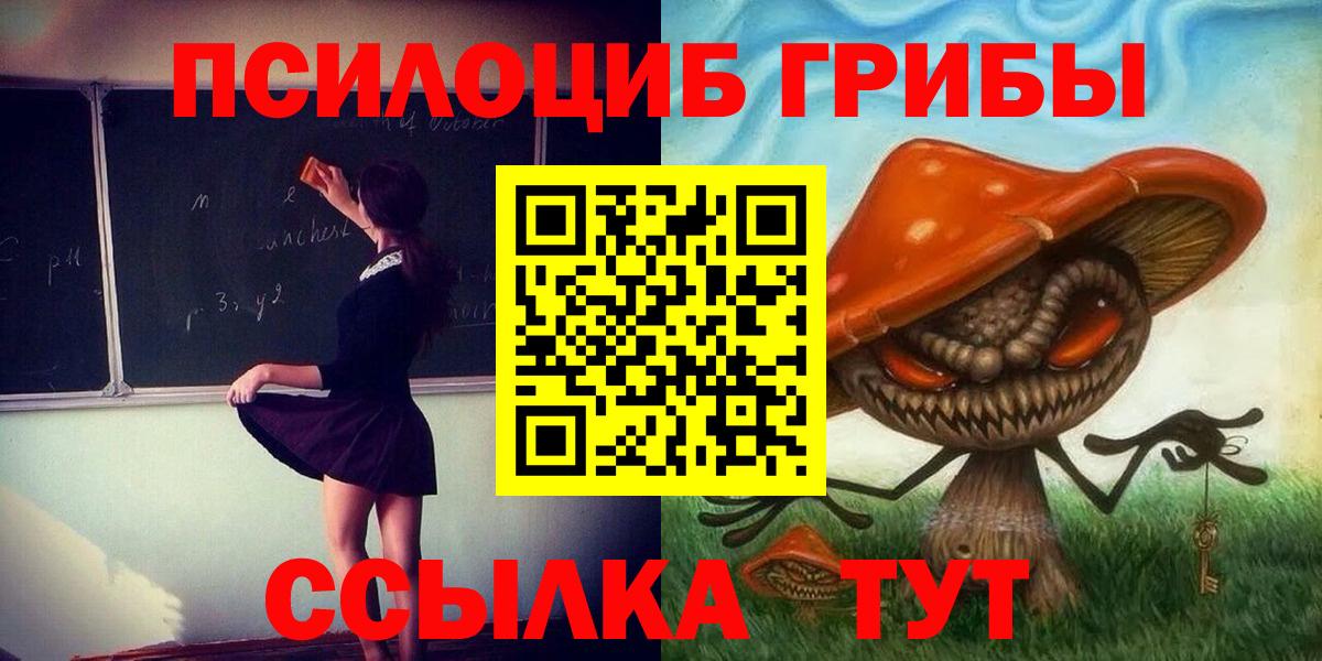 Галлюциногенные грибы прущие грибы Новороссийск